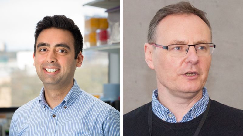 Peter Gardner And Ashwin Sachdeva Researchers