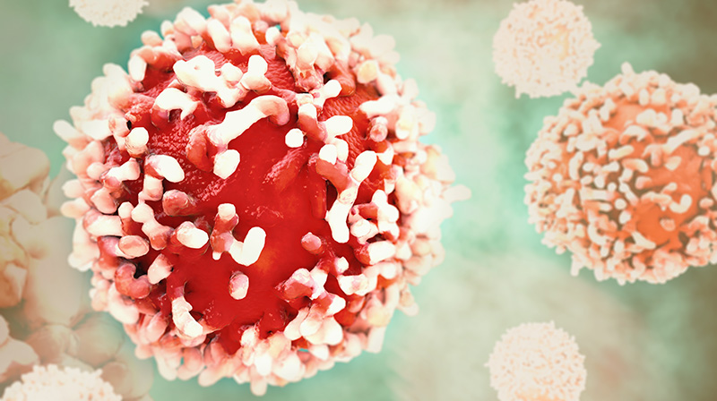 Cancer Cell Research Science Adobestock 96172433