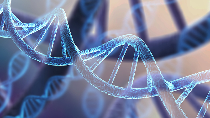 A strand of DNA
