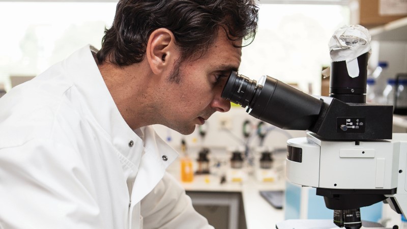 Gerhardt Attard ICR Researcher Using Microscope