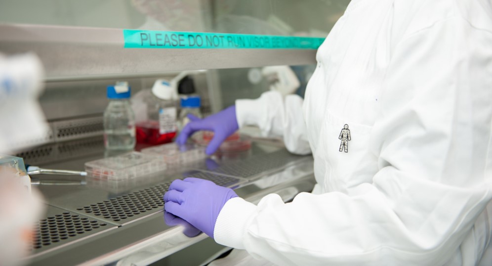 scientist with purple gloves checking on samples 