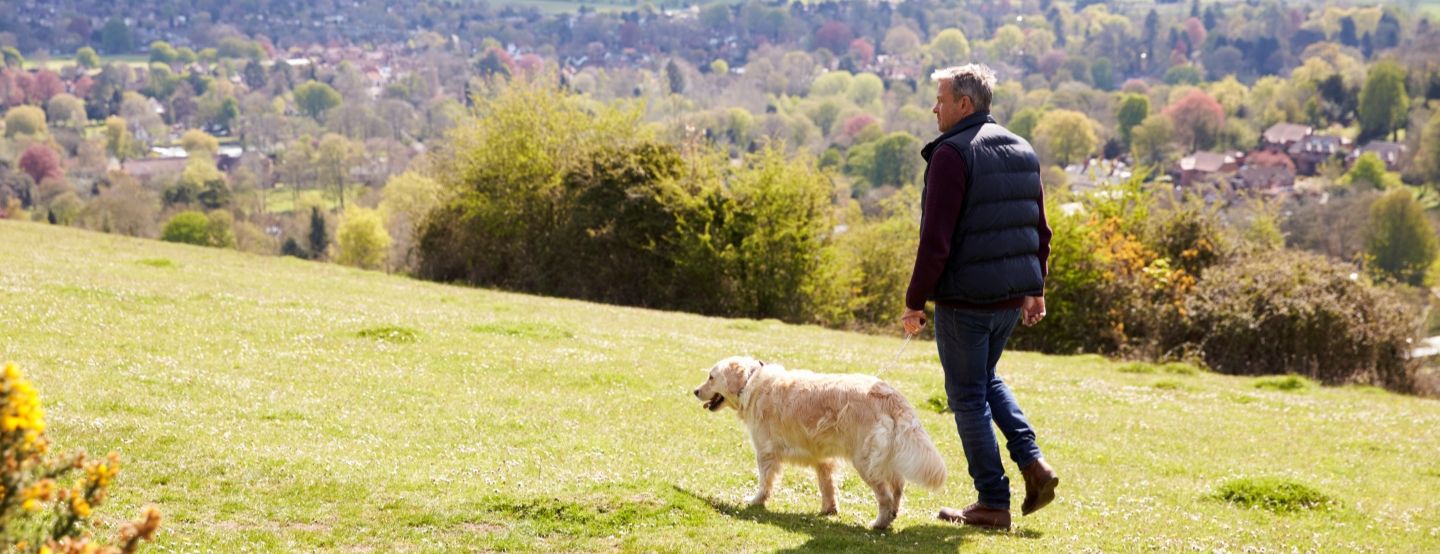 Man walking dog health hub banner.jpg