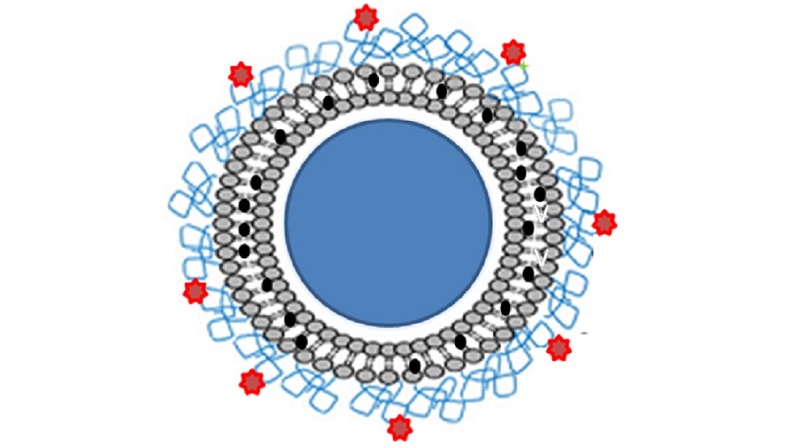 PG12 14 Nanoparticle Resize 800X448