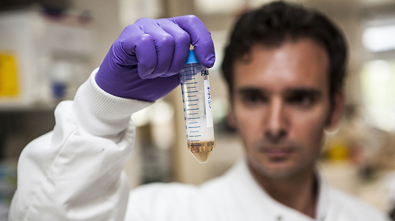 Science Research Lab Study