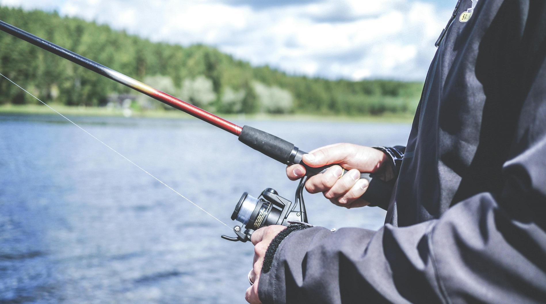 2024 Fishing Fish Pexels Lumn 294674