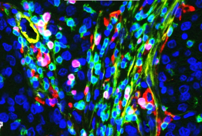 Claire Lewis Sheffield Nanoparticles Image