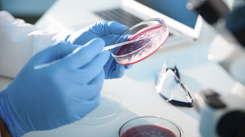 Research Petri Science Istock 000046565740XXX